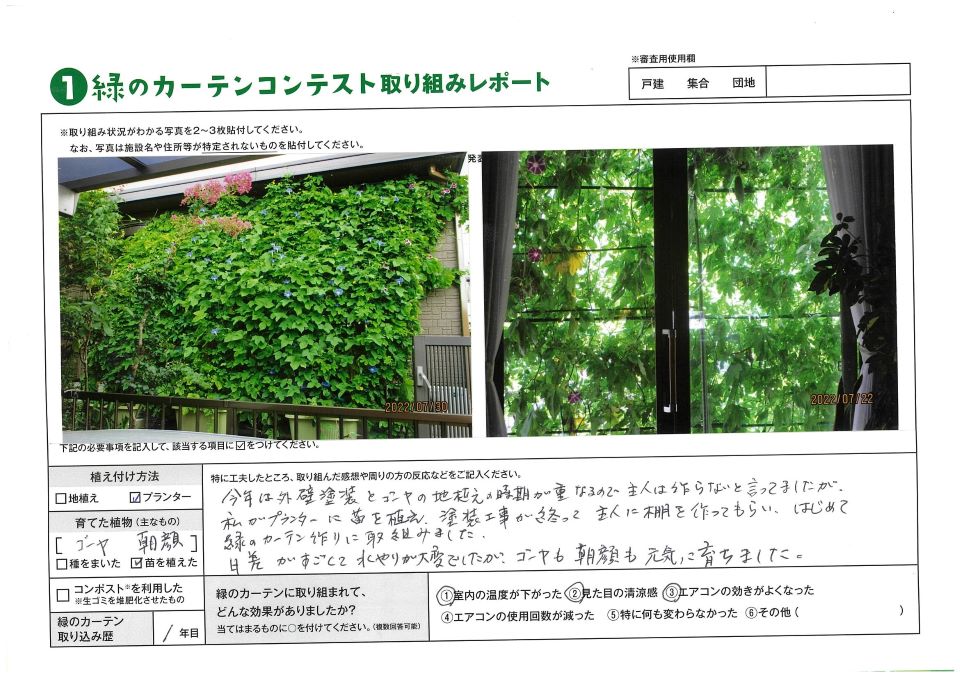 植え付け方法はプランター。育てた植物はゴーヤ、朝顔。緑のカーテン取り組み歴1年。一人一花賞、池田知子様の写真
