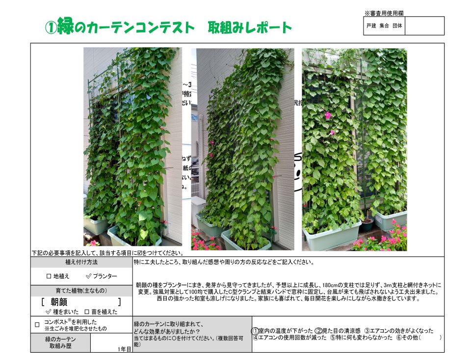 植え付け方法はプランター。育てた植物は朝顔。緑のカーテン取り組み歴1年。新人賞、伊東真一様の写真。
