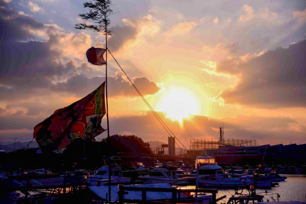 姪浜漁港の大漁旗