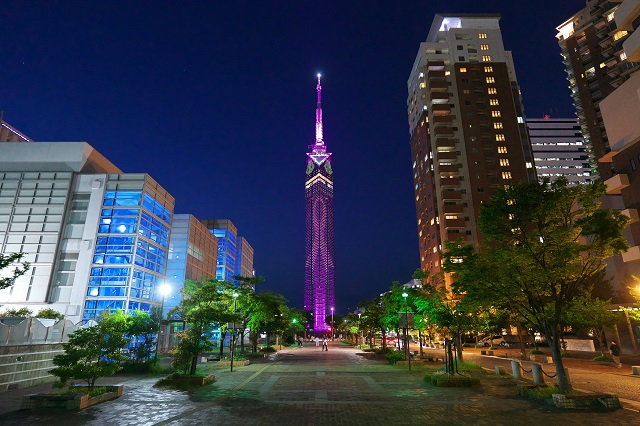 ピンクにライトアップされた福岡タワー（正面）