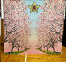 大きな桜並み木の写真