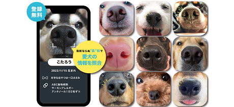 犬の様々な鼻紋