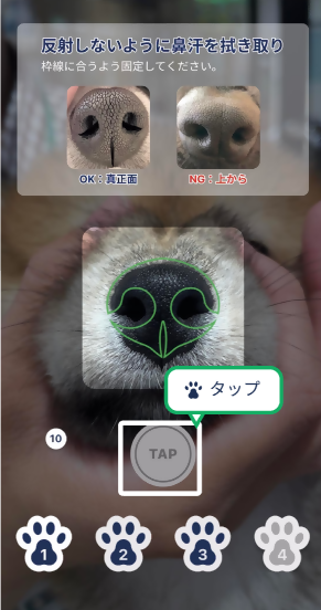 アプリ鼻紋写真撮影画面