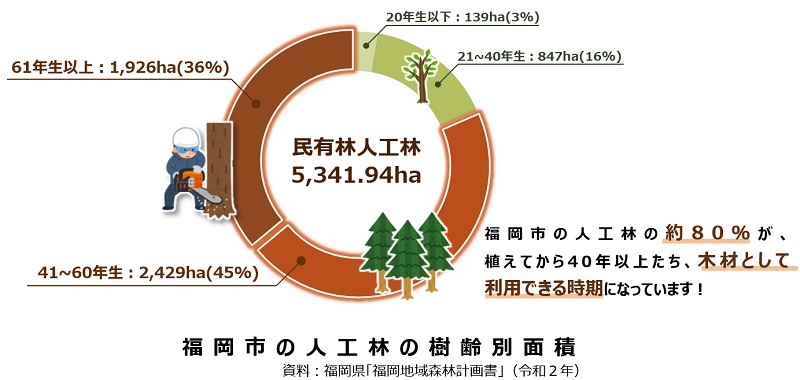 福岡市の人工林の樹齢別面積の円グラフ。61年生以上1926ヘクタール（36％）、41～60年生2429ヘクタール（45％）、21～40年生847ヘクタール（16％）、20年生以下139ヘクタール（3％）。