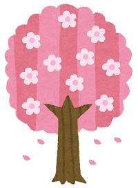 桜のイラスト画像
