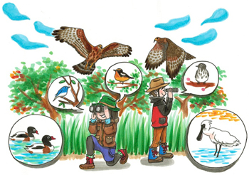 들새들의 낙원, 후쿠오카(image)