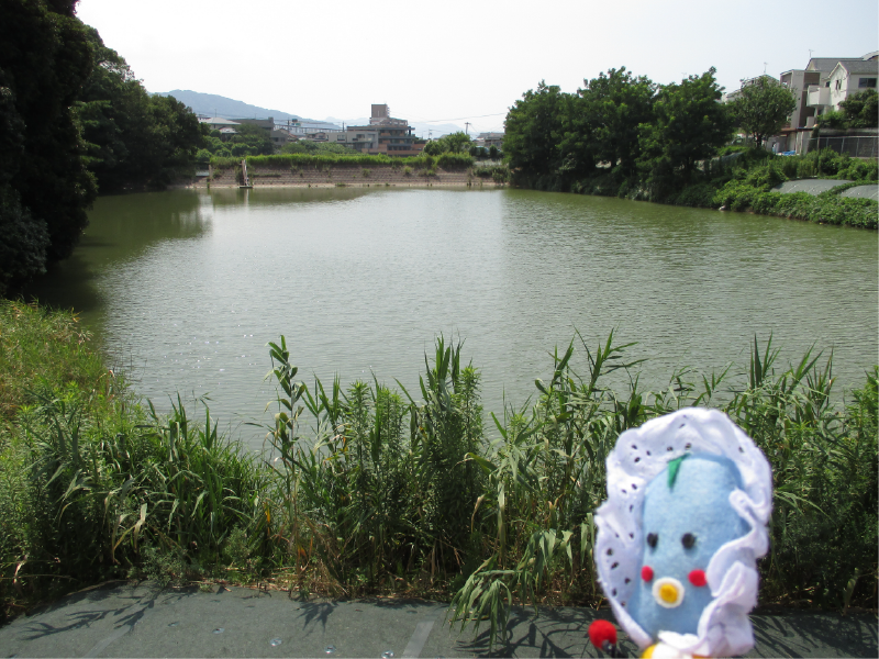 赤牟田新池の画像