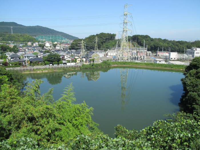 苔牟田池の画像
