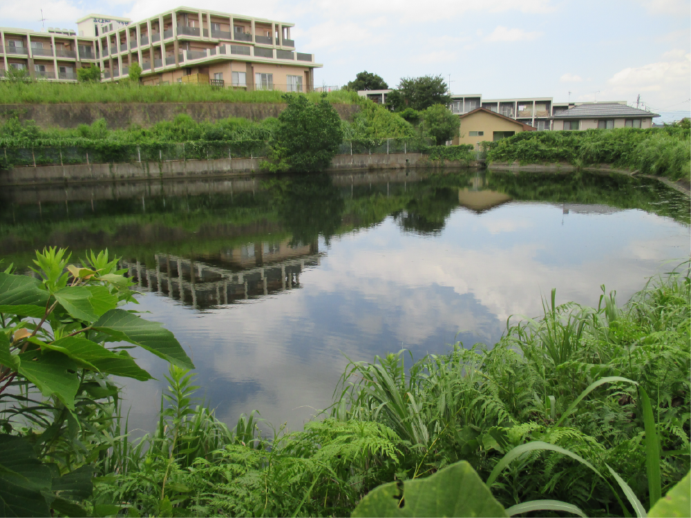 原田下池の画像