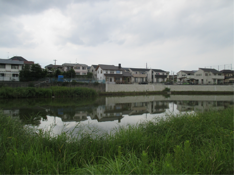 平原新池の画像