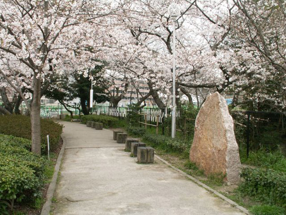 桧原桜と記念碑の写真