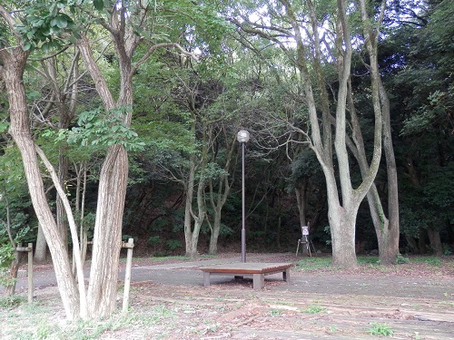 鴻巣山緑地保全地区にあるベンチ周辺の写真