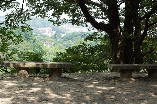 鴻巣山遊歩道の途中にあるベンチの写真