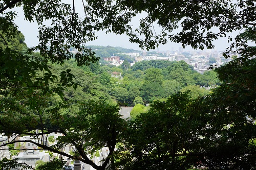 鴻巣山遊歩道遠景の写真