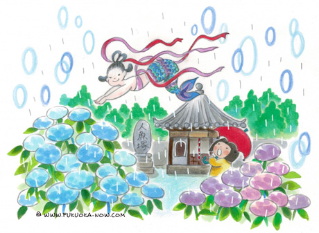 博多の豆知識「福岡の街中で楽しむアジサイ」のイラスト