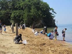 海岸清掃の画像