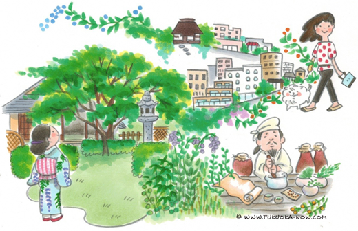 博多の豆知識「散策におすすめの浄水通りと松風園」のイラスト