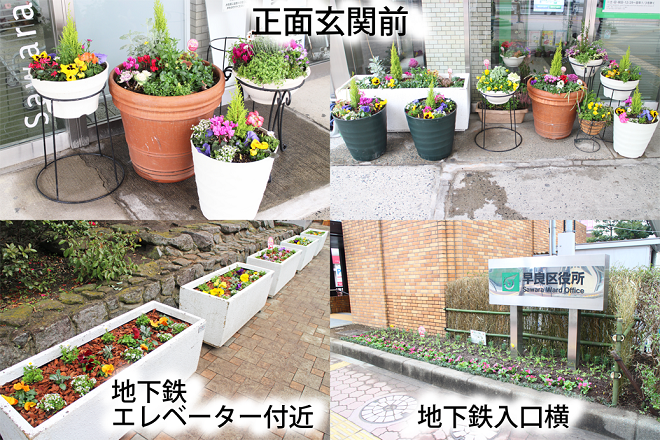 花壇植え替え後のそれぞれの花壇の組写真