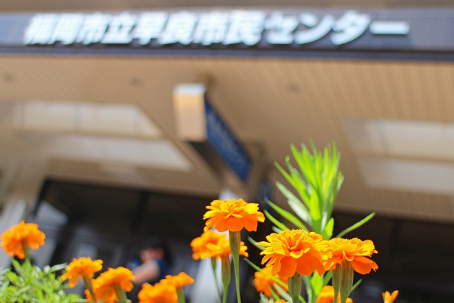背景にぼかした「福岡市立早良市民センター」の文字が見える，オレンジの花の写真