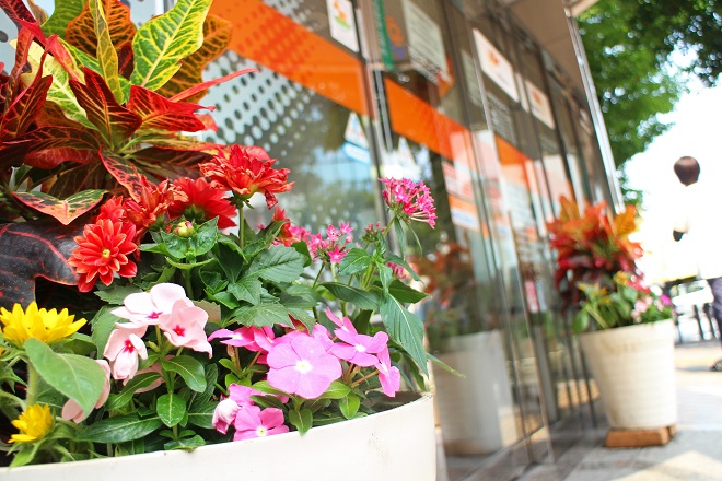 店舗入り口横のプランターで赤，黄，ピンクの花と派手な葉が植えられている写真