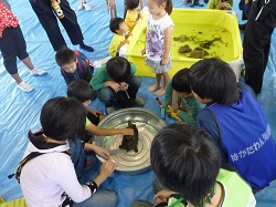 樋井川ミニ水族館の画像