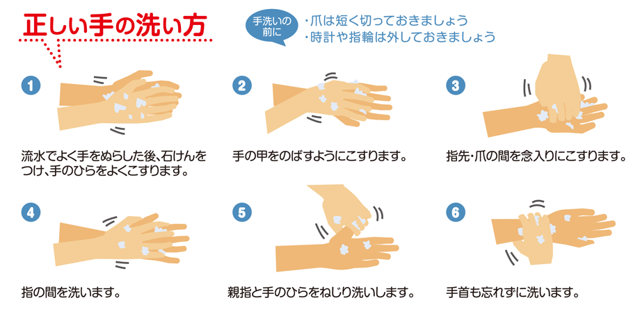 正しい手の洗い方の画像
