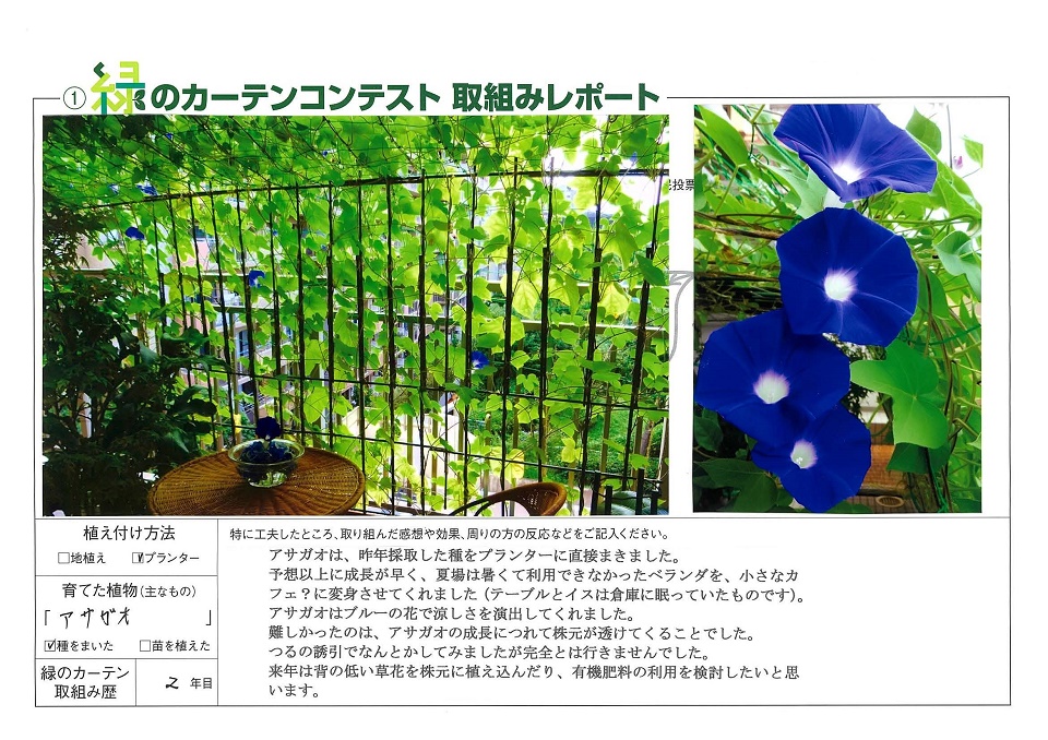写真：≪新人賞≫為国武夫様の緑のカーテンの様子。植え付け方法：プランター、育てた植物：アサガオ、緑のカーテン歴：2年目