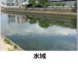 水面の写真
