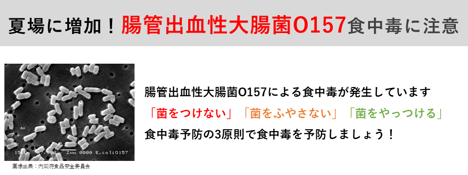 夏場に増加！腸管出血性大腸菌オーイチゴーナナ食中毒に注意