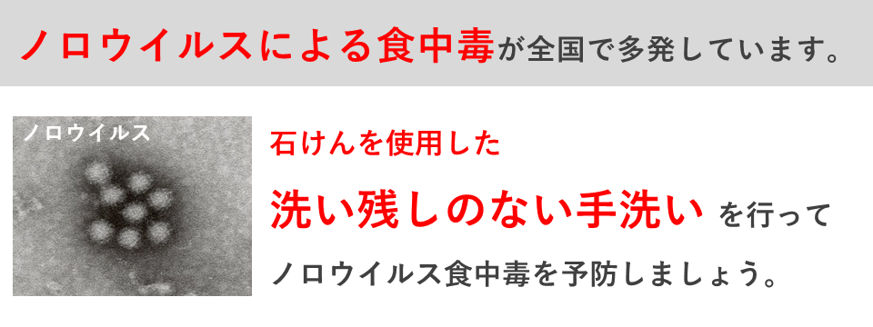 ノロウイルスによる食中毒が全国で多発しています