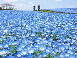 海の中道海浜公園（マリンワールド）の写真
