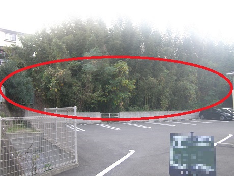 整備前の写真
