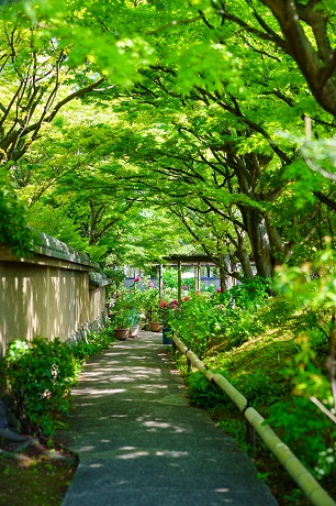 筥崎宮花庭園