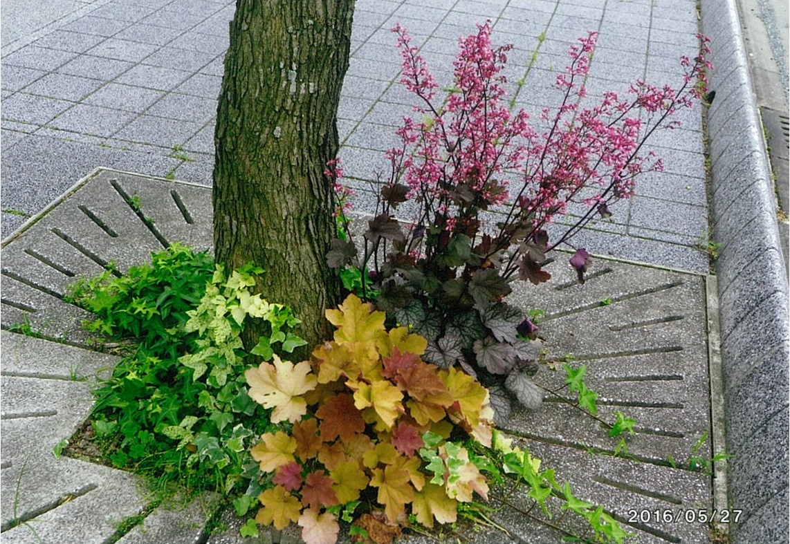 道のいけ花