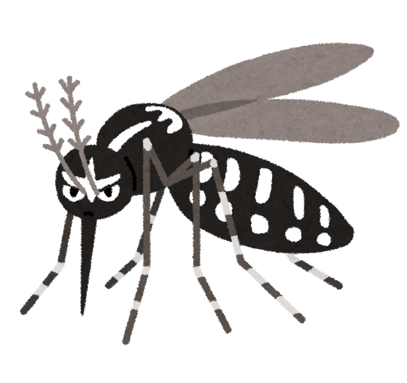 蚊のイラスト