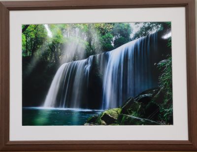 第41回城南区市民アート展写真部門の最優秀作品画像