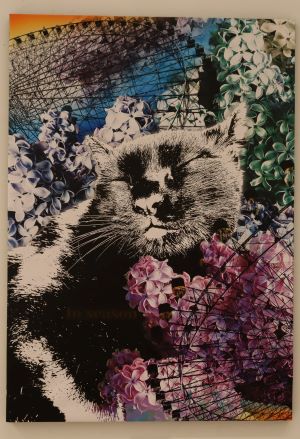 「In season」画像