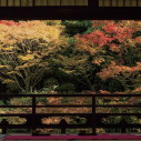インスタグラムにシェアしたくなる景観写真３　友泉亭公園