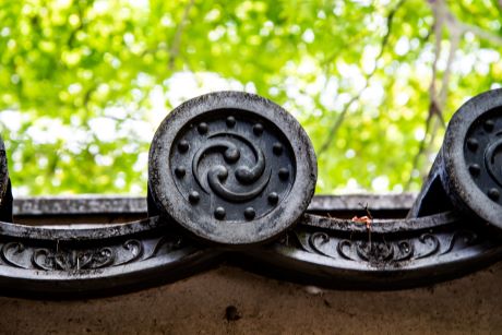 写真：入選 キッズ部門３
