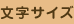 文字サイズ