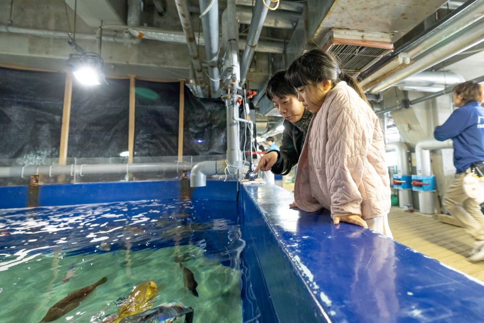 バックヤードツアーの様子