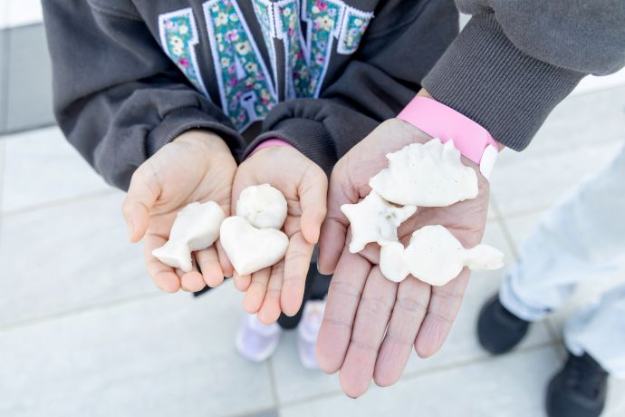 アマモの種子団子