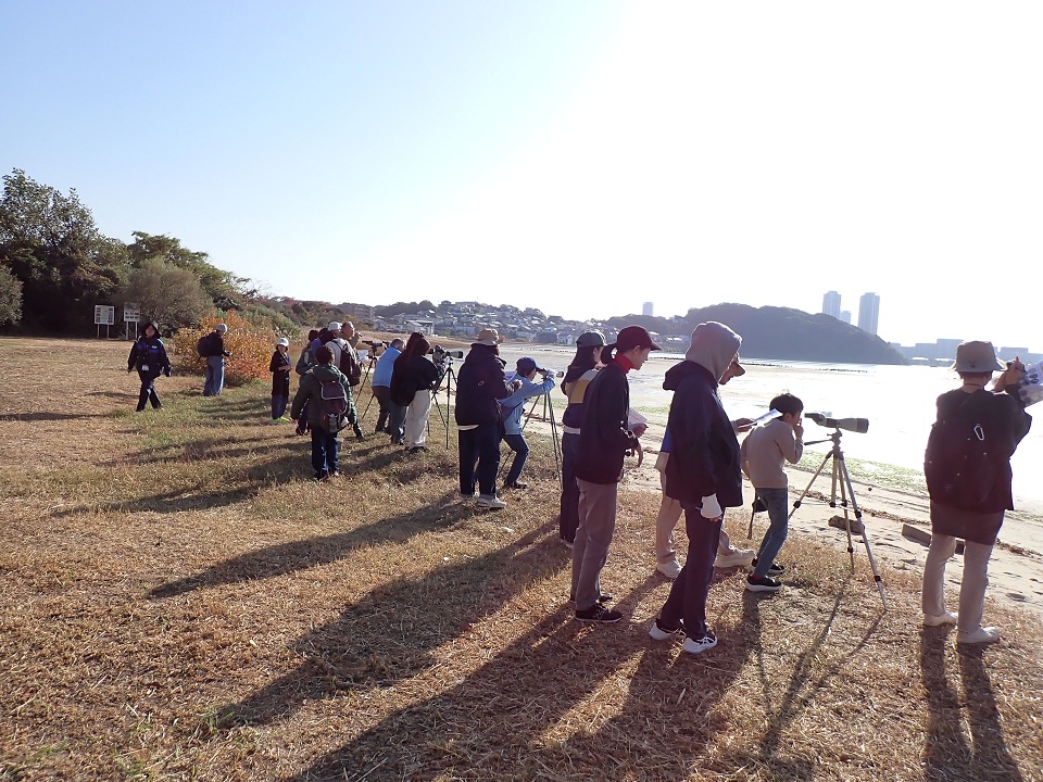 バードウォッチング in 和白干潟2025の様子