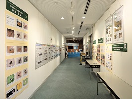 写真：パネル展示の様子2
