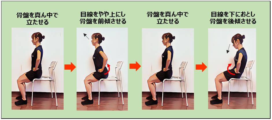 骨盤を整える運動の図