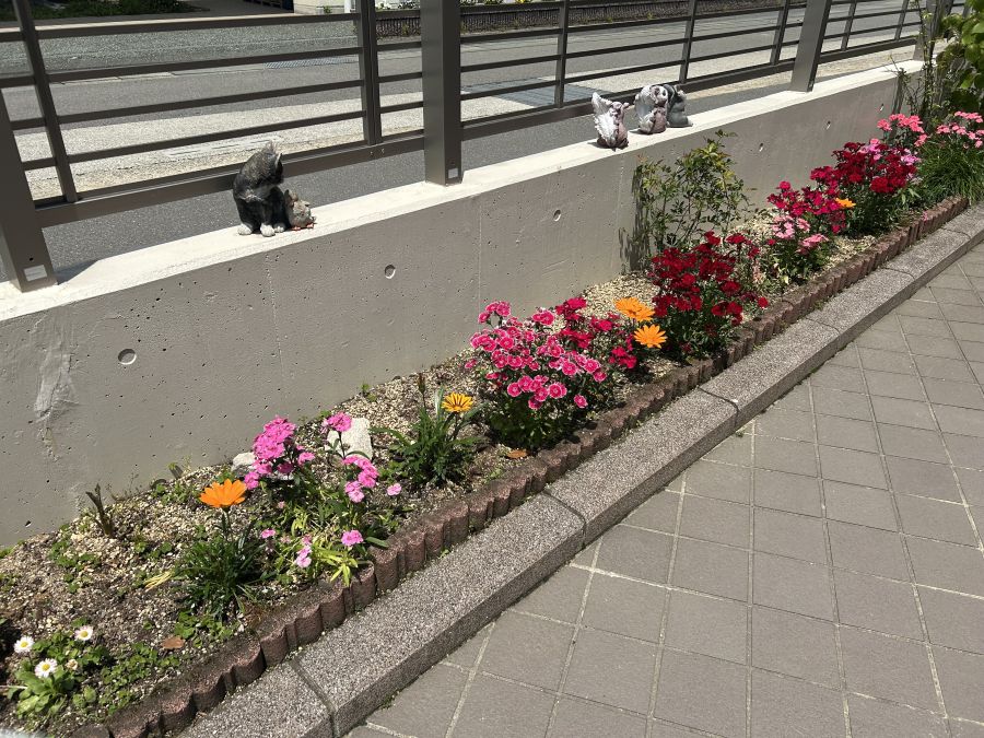 のためこども園　花壇写真２