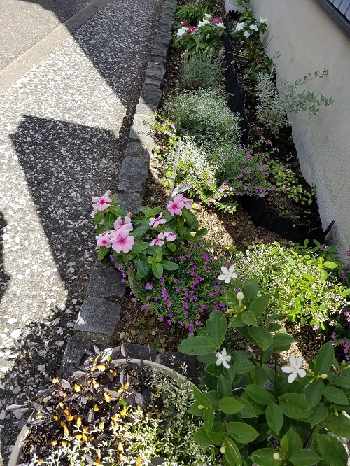 こんまる2