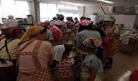 親子料理教室の様子写真