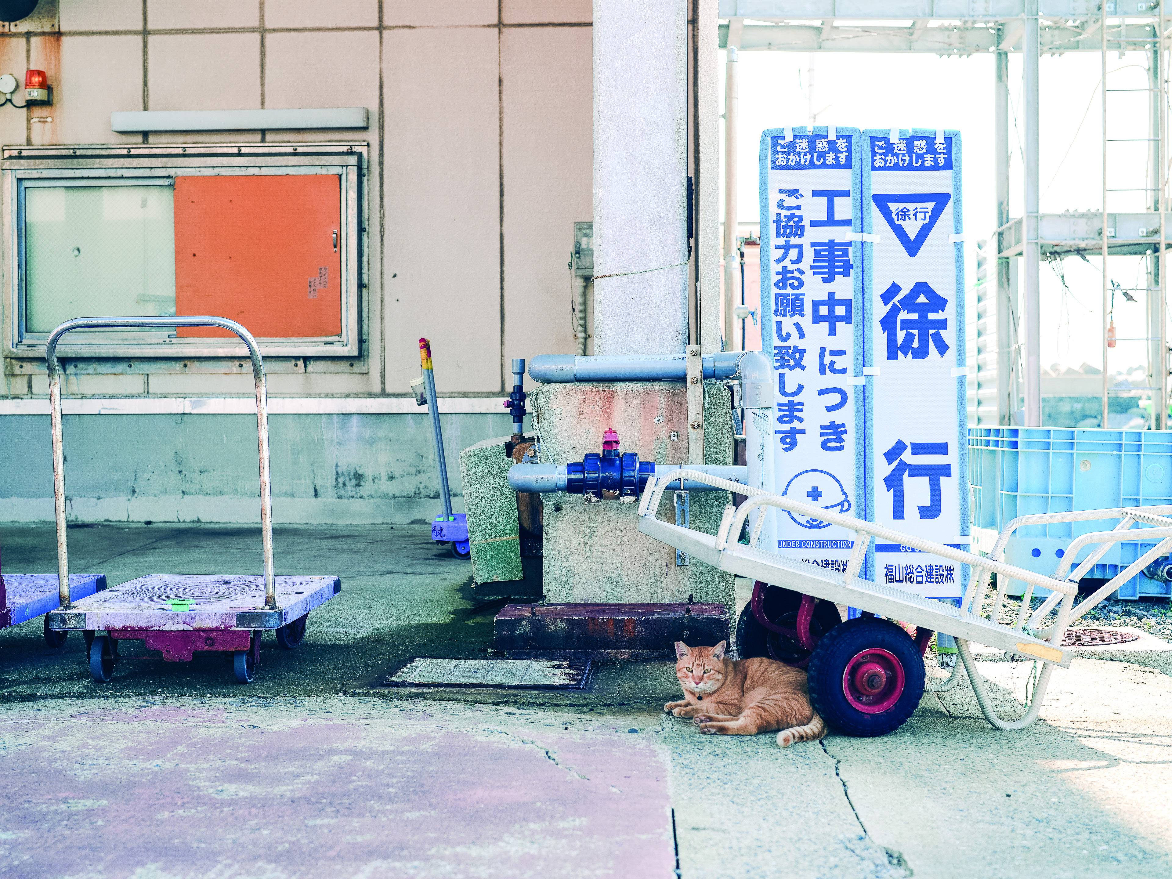 oronoshima_image4