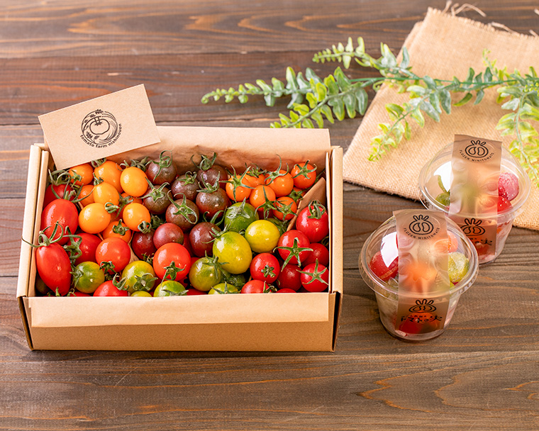 写真：「西さん農園トマトの実」と「カラフルミニトマト詰め合わせ」